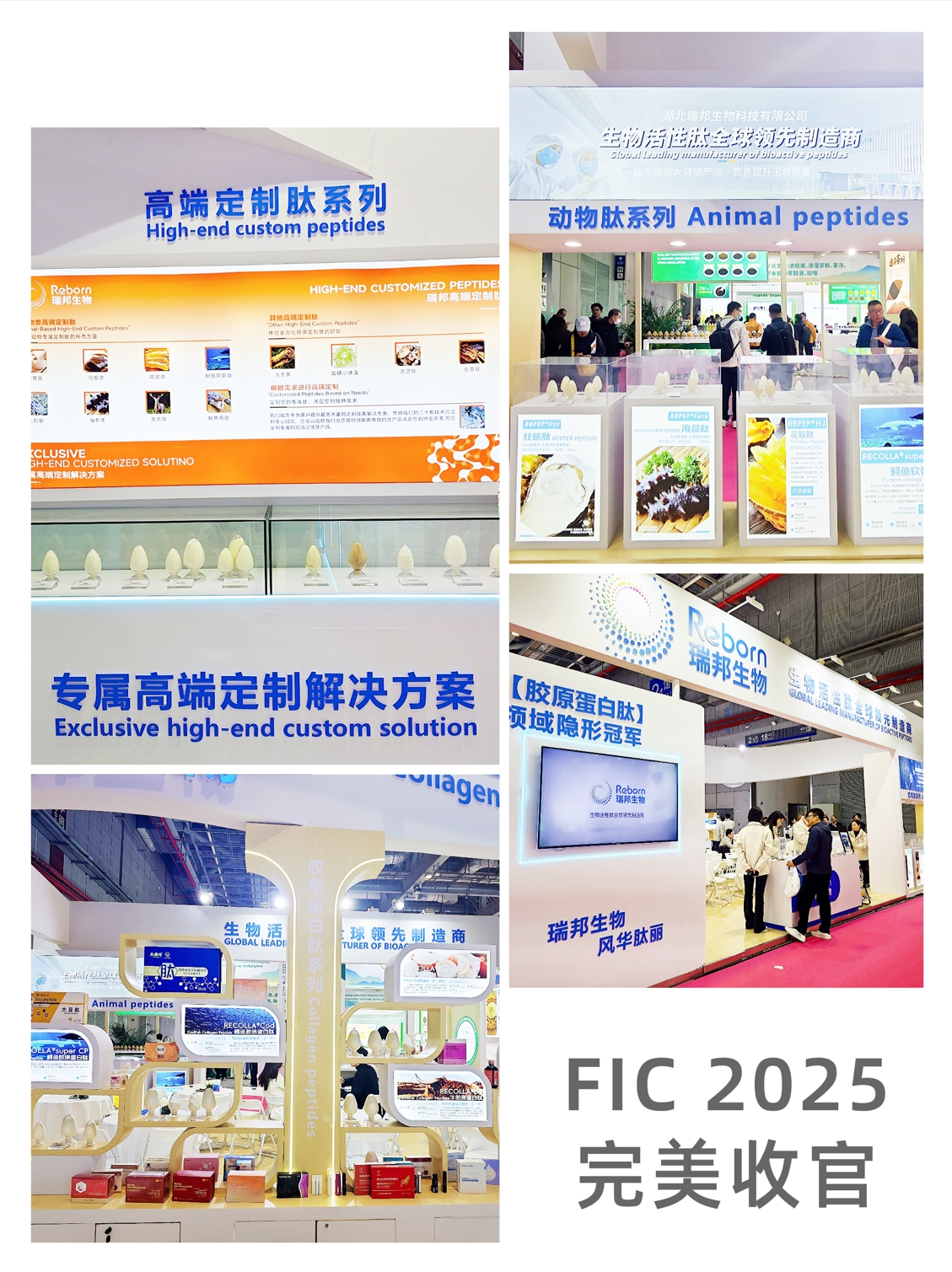 微信截圖_20250406092838.png